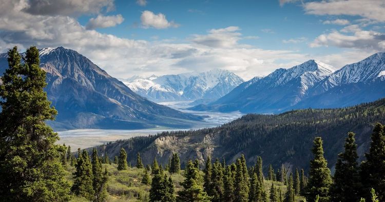 Scaling Radiology: The Infrastructure Behind 12,000+ Scans